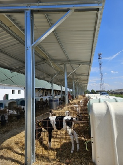 Bősárkányi csarnok belső nézete állattartó térrel
